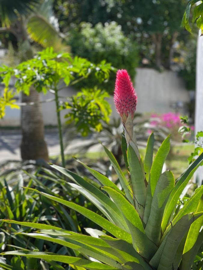 הוילה Buzios House מראה חיצוני תמונה